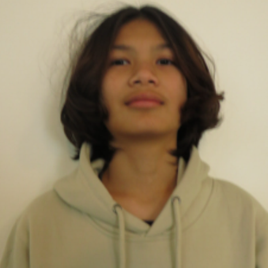 Tu Nguyen Le head shot